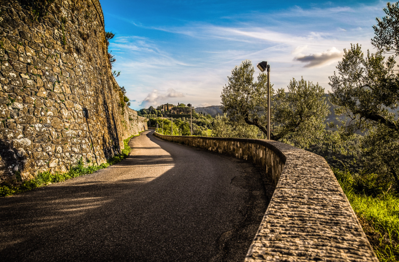DAMERINI SOCIETA SEMPLICE AGRICOLA — foto 4